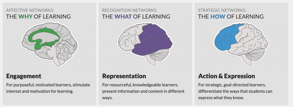 Universal Design for Learning Guidelines infographic 